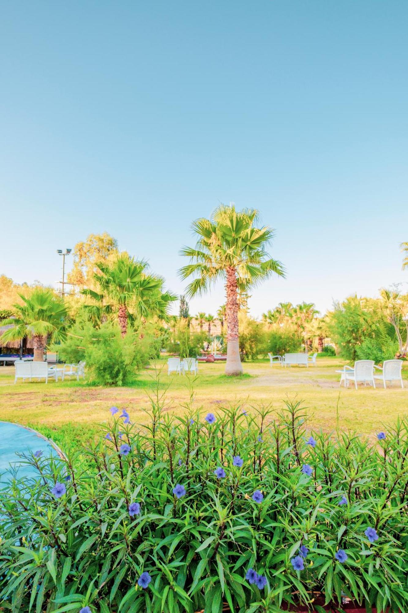 Ladonia Hotels Del Mare (Adults Only) 居姆贝特 外观 照片