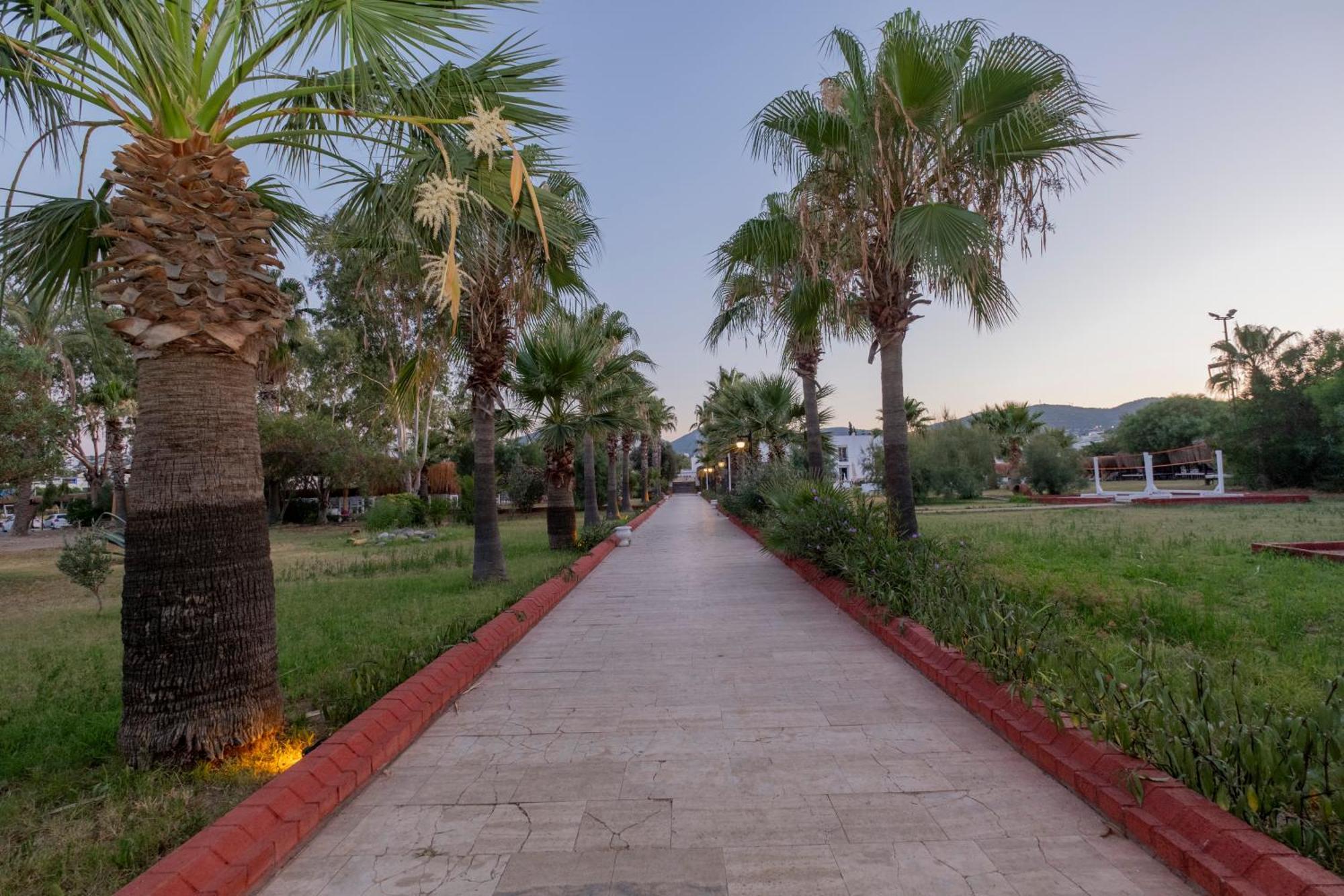 Ladonia Hotels Del Mare (Adults Only) 居姆贝特 外观 照片